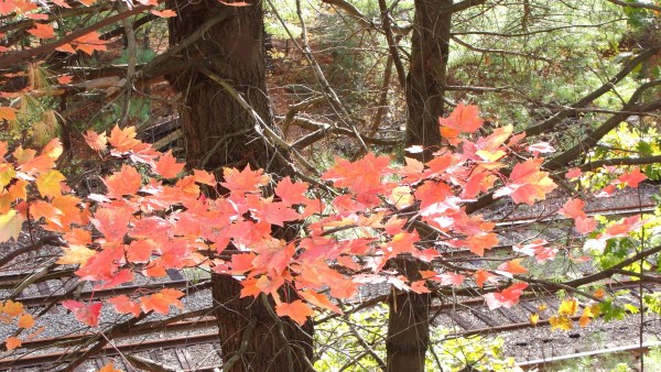 2010newEngland 048 - Copy