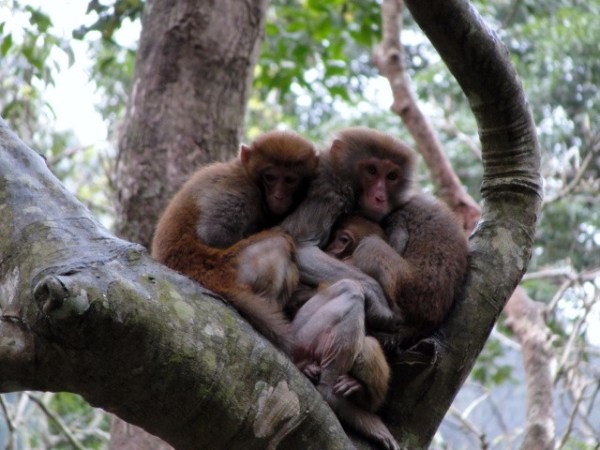 ???????????????????????????????