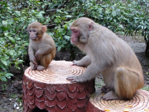 ???????????????????????????????