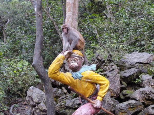 ???????????????????????????????