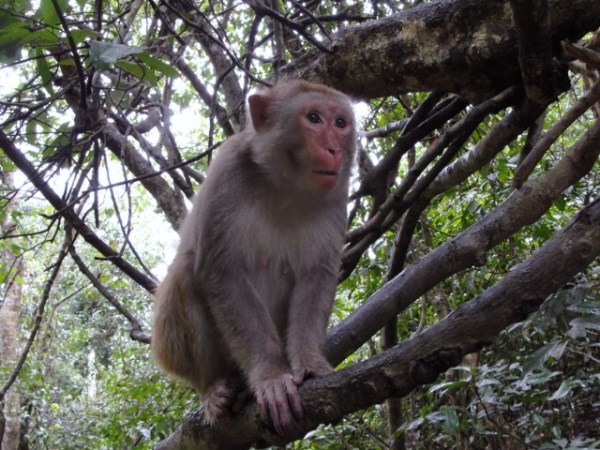 ???????????????????????????????