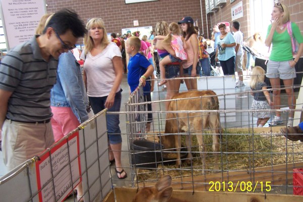 2013iowa state fair 508