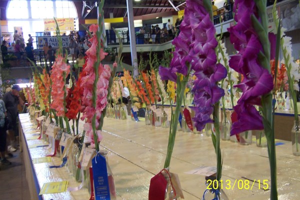 2013iowa state fair 540