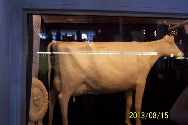 2013iowa state fair 543