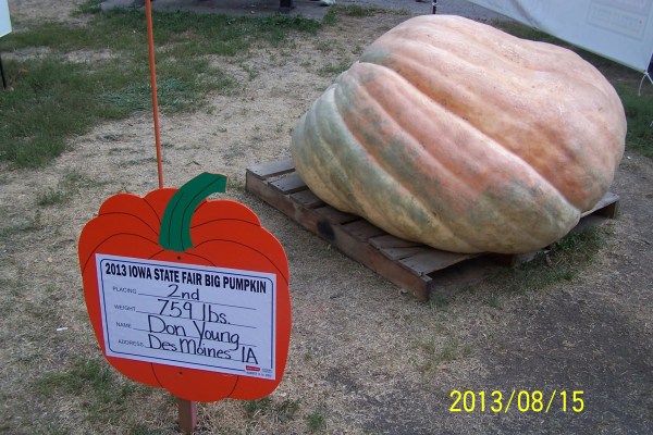 2013iowa state fair 551