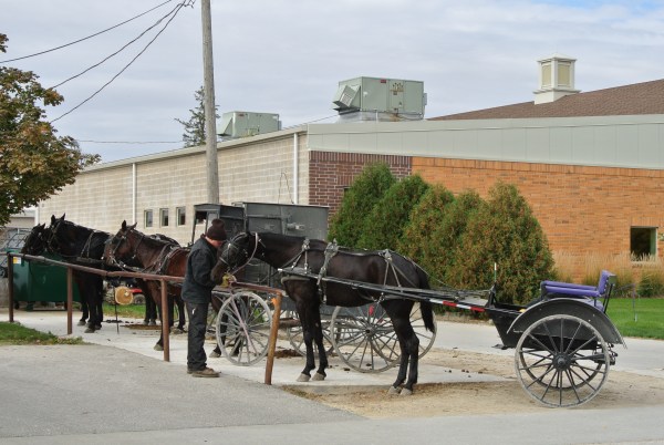 2013 amish 037