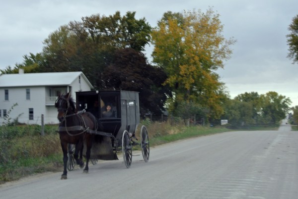 2013 amish 105
