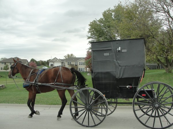 2013 amish 144